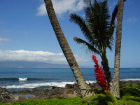 Maui 247.jpg